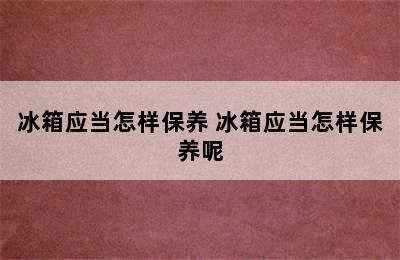 冰箱应当怎样保养 冰箱应当怎样保养呢